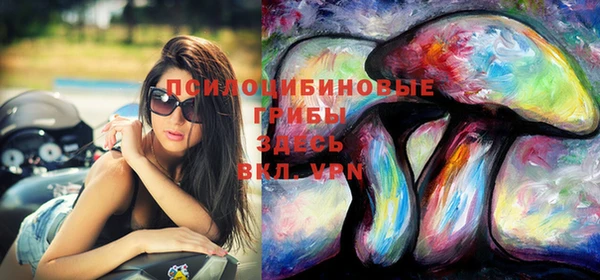 прущая мука Армянск