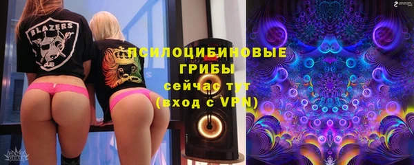 молекула духа Нязепетровск