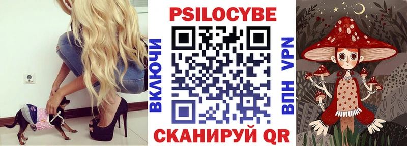 Галлюциногенные грибы Psilocybine cubensis  Нарткала 